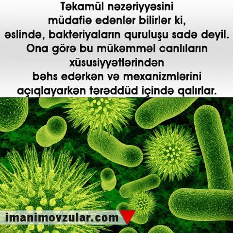 BAKTERİYANIN QÜSURSUZ QURULUŞU TƏKAMÜL NƏZƏRİYYƏSİNİ TƏKZİB EDİR